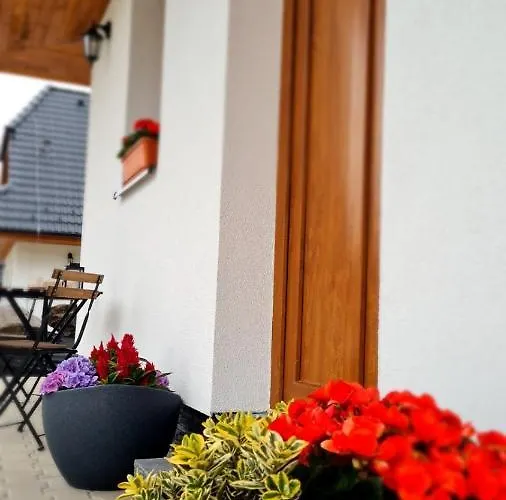 Дом отдыха Laura *