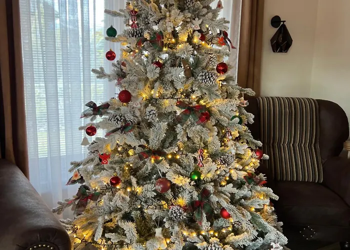 Laura Стара-Лесна